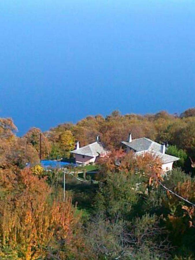 Tsagkarada Country Estate With Pool别墅 外观 照片