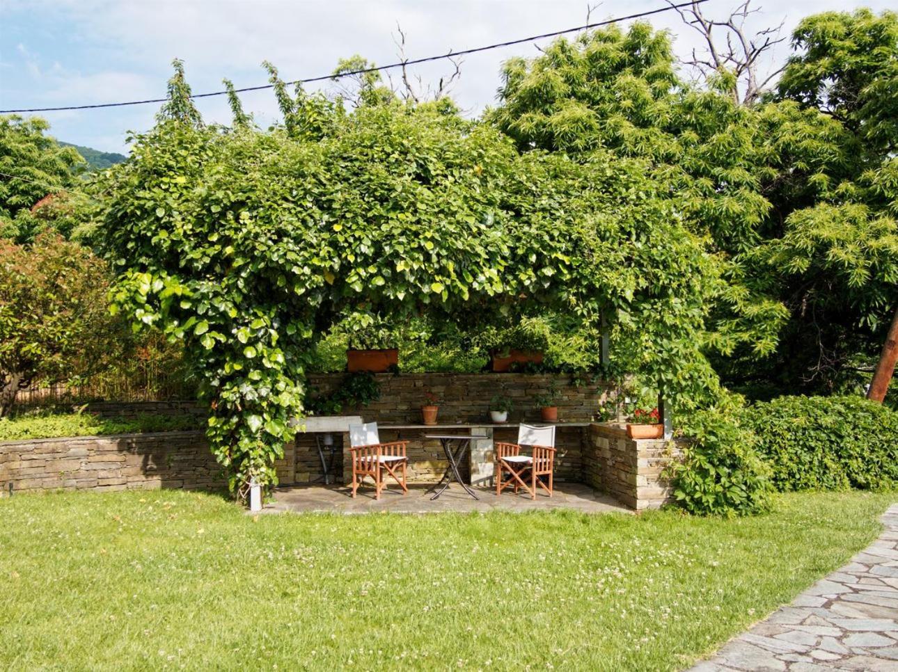 Tsagkarada Country Estate With Pool别墅 外观 照片